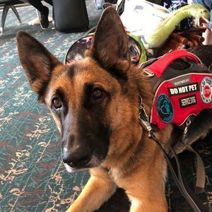 Meet your Posher, Samantha